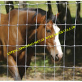 Оцинкованная оцинкованная коса и забор для крупного рогатого скота / забор для животных (XMS04)